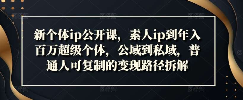 新个体ip公开课，素人ip到年入百万超级个体，公域到私域，普通人可复制的变现路径拆解-哔搭谋事网-原创客谋事网