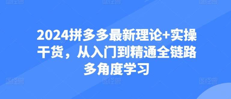 2024拼多多最新理论+实操干货，从入门到精通全链路多角度学习-哔搭谋事网-原创客谋事网