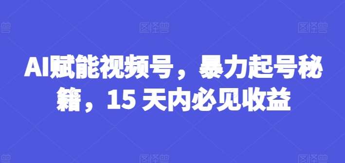 AI赋能视频号，暴力起号秘籍，15 天内必见收益【揭秘】-哔搭谋事网-原创客谋事网