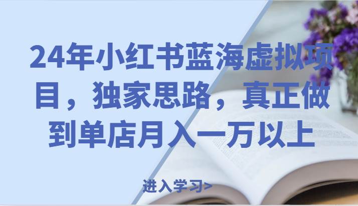 24年小红书蓝海虚拟项目，独家思路，真正做到单店月入一万以上。-哔搭谋事网-原创客谋事网