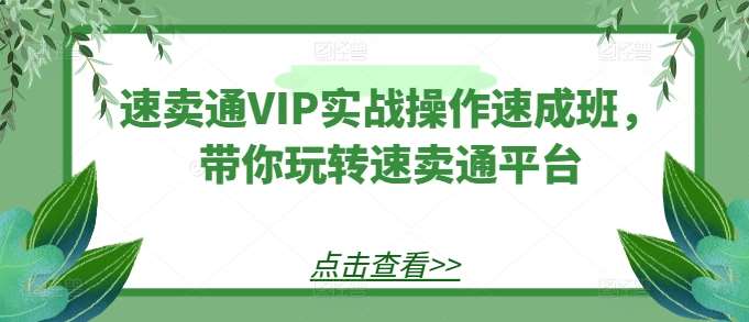 速卖通VIP实战操作速成班，带你玩转速卖通平台-哔搭谋事网-原创客谋事网