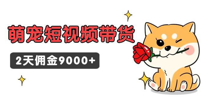 （9273期）东哲日记·萌宠短视频带货，2天佣金9000+-哔搭谋事网-原创客谋事网