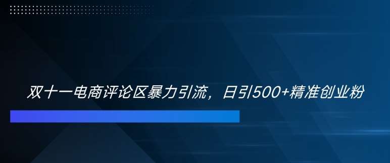 双十一电商评论区暴力引流，日引500+精准创业粉【揭秘】-哔搭谋事网-原创客谋事网