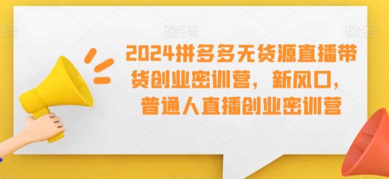 2024拼多多无货源直播带货创业密训营，新风口，普通人直播创业密训营-哔搭谋事网-原创客谋事网