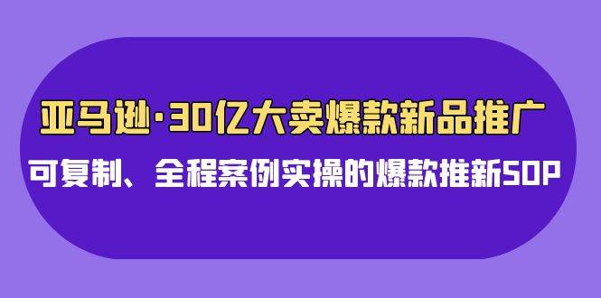 （9944期）亚马逊30亿·大卖爆款新品推广，可复制、全程案例实操的爆款推新SOP-哔搭谋事网-原创客谋事网