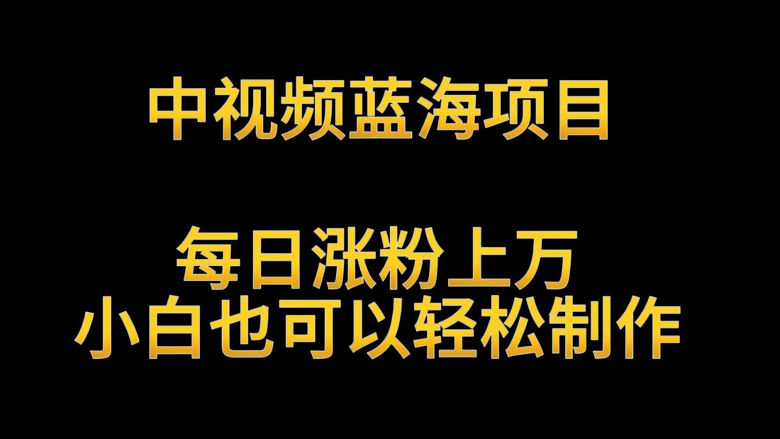 中视频蓝海项目，解读英雄人物生平，每日涨粉上万，小白也可以轻松制作，月入过万-哔搭谋事网-原创客谋事网