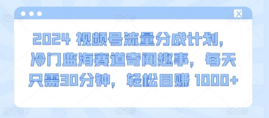 2024视频号流量分成计划，冷门监海赛道奇闻趣事，每天只需30分钟，轻松目赚 1000+【揭秘】-哔搭谋事网-原创客谋事网