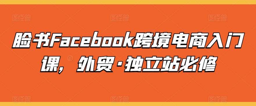 脸书Facebook跨境电商入门课，外贸·独立站必修-哔搭谋事网-原创客谋事网