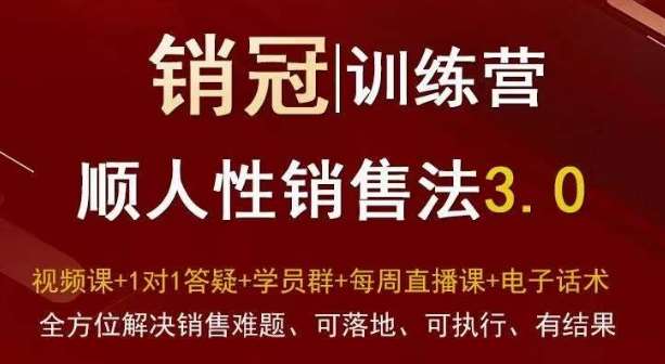 爆款！销冠训练营3.0之顺人性销售法，全方位解决销售难题、可落地、可执行、有结果-哔搭谋事网-原创客谋事网