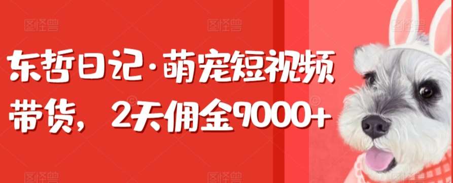 东哲日记·萌宠短视频带货，2天佣金9000+-哔搭谋事网-原创客谋事网