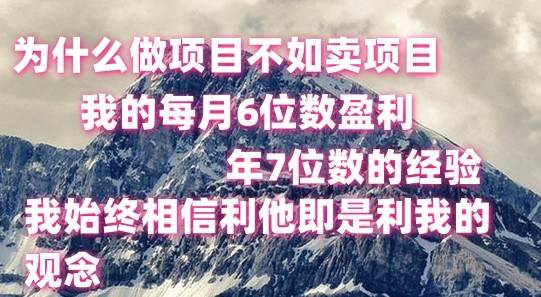 做项目不如卖项目，每月6位数盈利，年7位数经验-哔搭谋事网-原创客谋事网