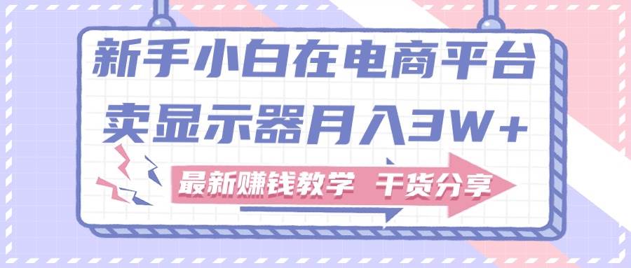 （11053期）新手小白如何做到在电商平台卖显示器月入3W+，最新赚钱教学干货分享-哔搭谋事网-原创客谋事网