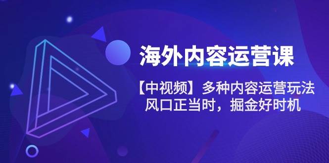 （10833期）海外内容 运营课【中视频】多种内容运营玩法 风口正当时 掘金好时机-101节-哔搭谋事网-原创客谋事网