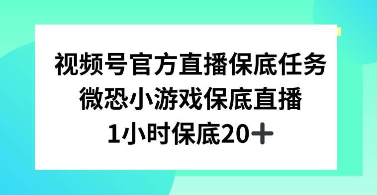 视频号直播任务，微恐小游戏，1小时20+【揭秘】-哔搭谋事网-原创客谋事网