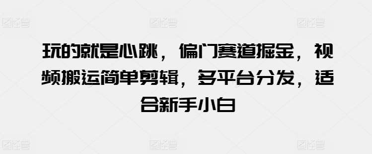 玩的就是心跳，偏门赛道掘金，视频搬运简单剪辑，多平台分发，适合新手小白【揭秘】-哔搭谋事网-原创客谋事网