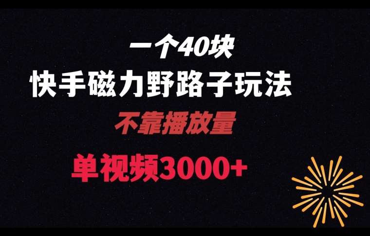 一个40块，快手联合美团磁力新玩法，无视机制野路子玩法，单视频收益4位数【揭秘】-哔搭谋事网-原创客谋事网