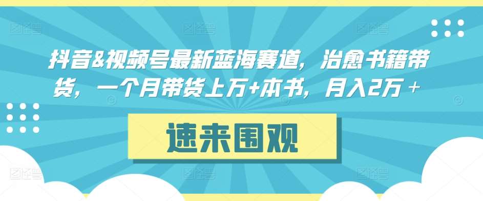 抖音&视频号最新蓝海赛道，治愈书籍带货，一个月带货上万+本书，月入2万＋【揭秘】-哔搭谋事网-原创客谋事网