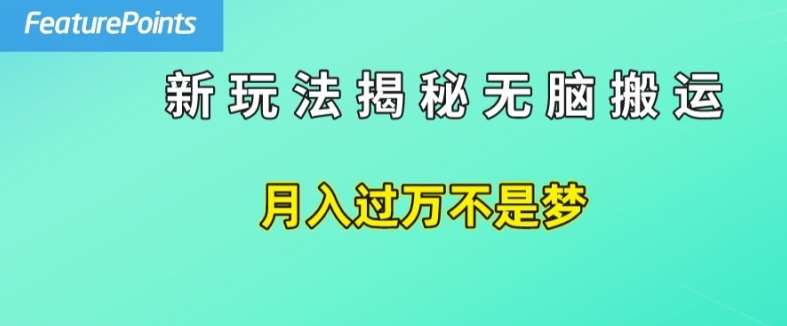 简单操作，每天50美元收入，搬运就是赚钱的秘诀【揭秘】-哔搭谋事网-原创客谋事网