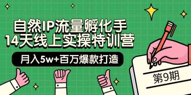 自然IP流量孵化手14天线上实操特训营【第9期】月入5w+百万爆款打造 (74节)-哔搭谋事网-原创客谋事网