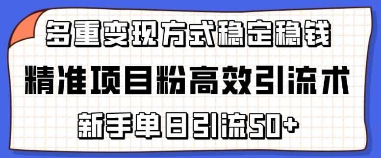 精准项目粉高效引流术，新手单日引流50+，多重变现方式稳定赚钱【揭秘】-哔搭谋事网-原创客谋事网