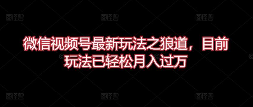 微信视频号最新玩法之狼道，目前玩法已轻松月入过万【揭秘】-哔搭谋事网-原创客谋事网