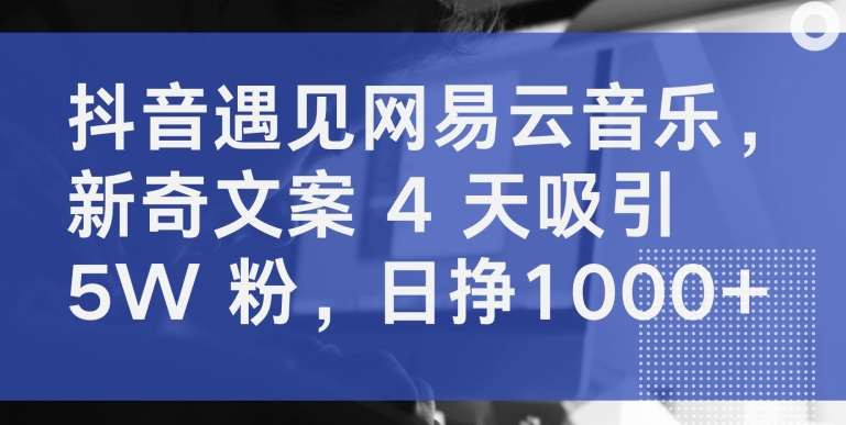 抖音遇见网易云音乐，新奇文案 4 天吸引 5W 粉，日挣1000+【揭秘】-哔搭谋事网-原创客谋事网