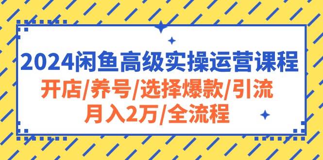 （10711期）2024闲鱼高级实操运营课程：开店/养号/选择爆款/引流/月入2万/全流程-哔搭谋事网-原创客谋事网