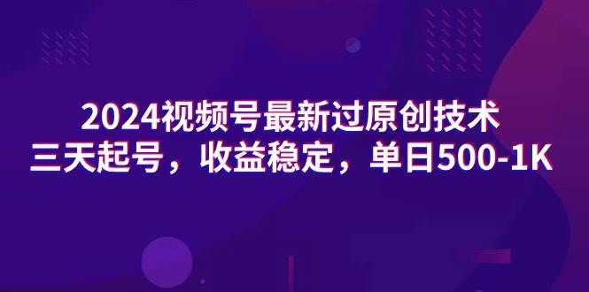 （9506期）2024视频号最新过原创技术，三天起号，收益稳定，单日500-1K-哔搭谋事网-原创客谋事网