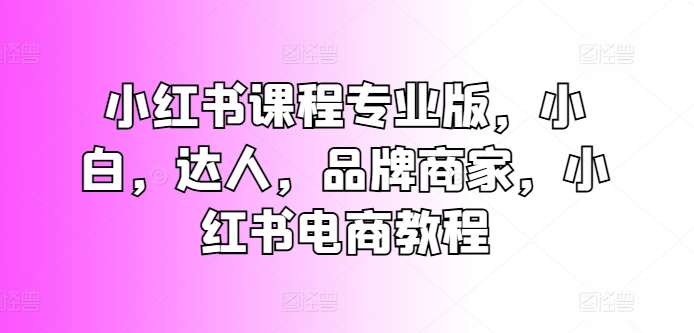 小红书课程专业版，小白，达人，品牌商家，小红书电商教程-哔搭谋事网-原创客谋事网