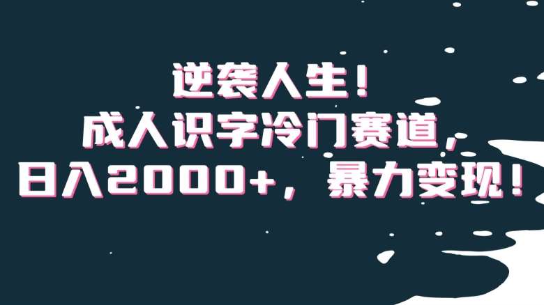 逆袭人生！成人识字冷门赛道，日入2000+，暴力变现！【揭秘】-哔搭谋事网-原创客谋事网