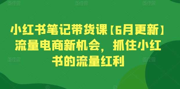 小红书笔记带货课【6月更新】流量电商新机会，抓住小红书的流量红利-哔搭谋事网-原创客谋事网