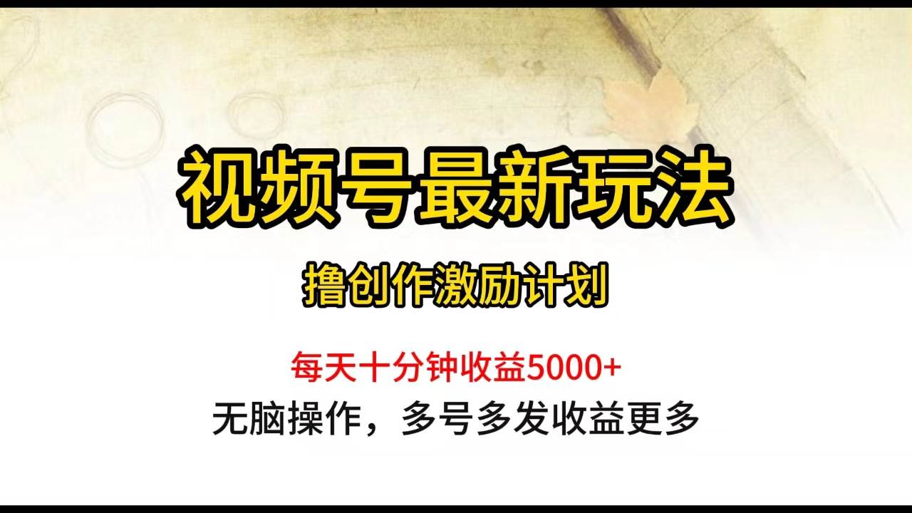 （10087期）视频号最新玩法，每日一小时月入5000+-哔搭谋事网-原创客谋事网