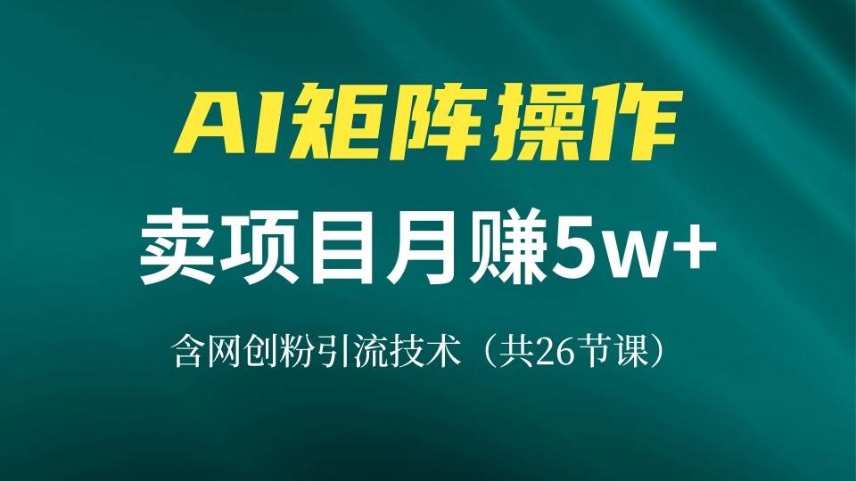 （13335期）网创IP打造课，借助AI卖项目月赚5万+，含引流技术（共26节课）-哔搭谋事网-原创客谋事网