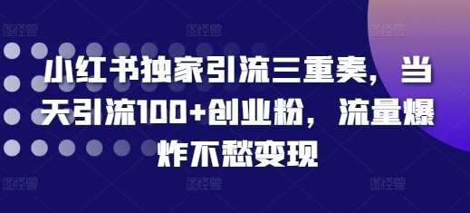 小红书独家引流三重奏，当天引流100+创业粉，流量爆炸不愁变现【揭秘】-哔搭谋事网-原创客谋事网