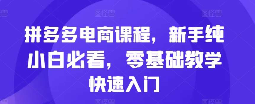 拼多多电商课程，新手纯小白必看，零基础教学快速入门-哔搭谋事网-原创客谋事网