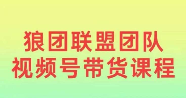 狼团联盟2024视频号带货，0基础小白快速入局视频号-哔搭谋事网-原创客谋事网