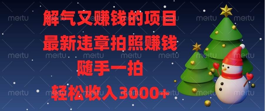 （13686期）解气又赚钱的项目，最新违章拍照赚钱，随手一拍，轻松收入3000+-哔搭谋事网-原创客谋事网