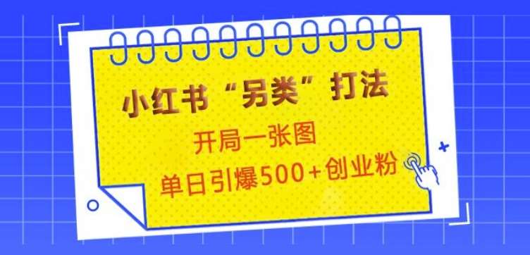 小红书“另类”打法，开局一张图，单日引爆500+精准创业粉【揭秘】-哔搭谋事网-原创客谋事网