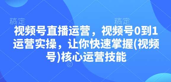 视频号直播运营，视频号0到1运营实操，让你快速掌握(视频号)核心运营技能-哔搭谋事网-原创客谋事网