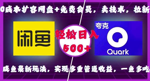 0成本扩容网盘+免费会员，卖技术，拉新，咸鱼最新玩法，实现多重管道收益，一鱼多吃，轻松日入500+-哔搭谋事网-原创客谋事网