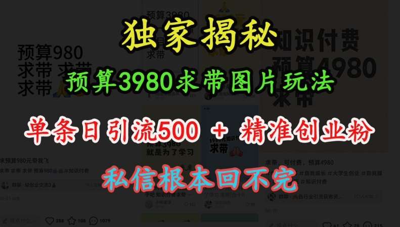 预算3980求带 图片玩法，单条日引流500+精准创业粉，私信根本回不完-哔搭谋事网-原创客谋事网