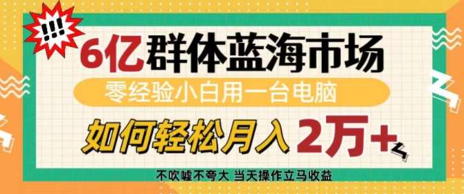 6亿群体蓝海市场，零经验小白用一台电脑，如何轻松月入过w【揭秘】-哔搭谋事网-原创客谋事网