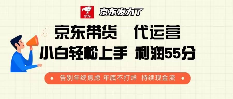 （13833期）京东带货 代运营 利润55分 告别年终焦虑 年底不打烊 持续现金流-哔搭谋事网-原创客谋事网