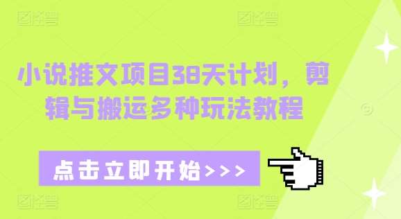 小说推文项目38天计划，剪辑与搬运多种玩法教程-哔搭谋事网-原创客谋事网