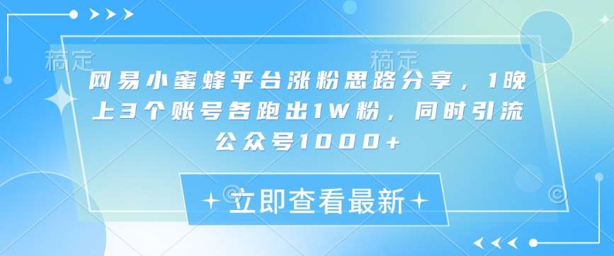 网易小蜜蜂平台涨粉思路分享，1晚上3个账号各跑出1W粉，同时引流公众号1000+-哔搭谋事网-原创客谋事网