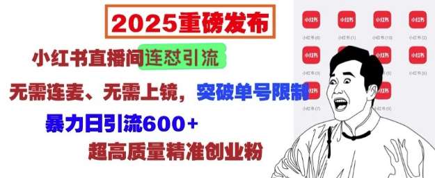 2025重磅发布：小红书直播间连怼引流，无需连麦、无需上镜，突破单号限制，暴力日引流600+-哔搭谋事网-原创客谋事网