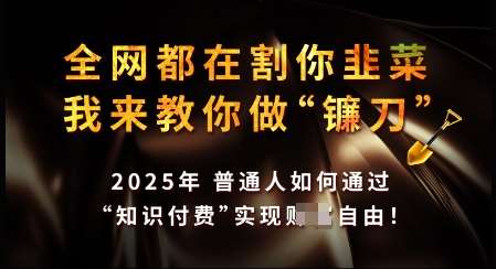 知识付费如何做到月入过W+，2025我来教你做“镰刀”【揭秘】-哔搭谋事网-原创客谋事网