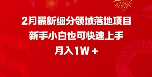 2月最新细分领域落地项目，新手小白也可快速上手，月入1W-哔搭谋事网-原创客谋事网