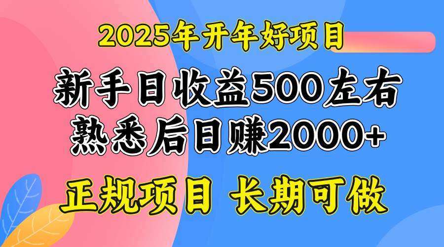 （14076期）2025开年好项目，单号日收益2000左右-哔搭谋事网-原创客谋事网