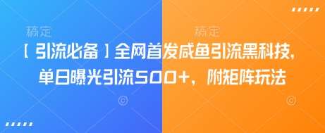 【引流必备】全网首发咸鱼引流黑科技，单日曝光引流500+，附矩阵玩法【揭秘】-哔搭谋事网-原创客谋事网